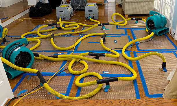 Professional Sewage Cleanup technician working in Alamo, GA